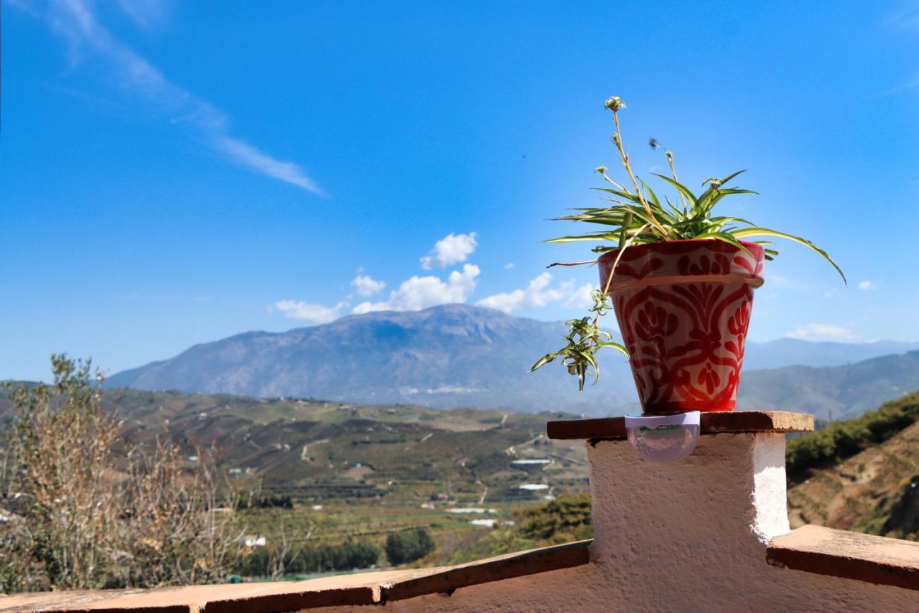 Casa Bambu Studios Velez Malaga Esterno foto